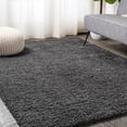 thumbnail image 1 of JONATHAN Y TANGO 2 x 10 Runner Rug, Groovy Shag - Dark Gray, CLD100G-210, 1 of 9