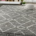 thumbnail image 1 of JONATHAN Y MERCER SHAG 4 x 6 Area Rug, Mercer Plush Tassel Moroccan Diamond - Gray/Cream, MCR105C-4, 1 of 4