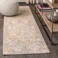 thumbnail image 1 of JONATHAN Y MODERN PERSIAN 2 x 8 Runner Rug, Petras Ornate Medallion - Gray/Brown, MDP307A-28, 1 of 9