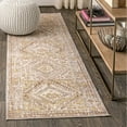 thumbnail image 1 of JONATHAN Y MODERN PERSIAN 2 x 8 Runner Rug, Darija Ornate Geometric Medallion - Gray, MDP308A-28, 1 of 9