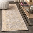 thumbnail image 1 of JONATHAN Y MODERN PERSIAN 2 x 8 Runner Rug, Alba Faded Peshawar - Gray/Ivory, MDP304B-28, 1 of 9