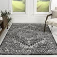 thumbnail image 1 of JONATHAN Y MODERN PERSIAN 4 x 6 Area Rug, Modern Persian Vintage Medallion - Black, MDP100D-4, 1 of 5