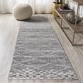 thumbnail image 1 of JONATHAN Y MOROCCAN HYPE 2 x 10 Runner Rug, Asilah Moroccan Diamond - Gray, MOH300B-210, 1 of 9
