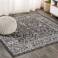thumbnail image 1 of JONATHAN Y SANTA MONICA 5' Square Area Rug, Palazzo Vine and Border Textured Weave - Black/Gray, SMB103C-5SQ, 1 of 8