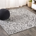 thumbnail image 1 of JONATHAN Y SANTA MONICA 5' Square Area Rug, Estrella Bohemian Medallion Textured Weave - Black/Gray, SMB105D-5SQ, 1 of 4