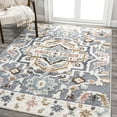 thumbnail image 1 of JONATHAN Y SANTA THERESA 4 x 6 Area Rug, Aziza Persian Medallion - Multi, SNT109A-4, 1 of 10