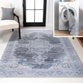 thumbnail image 1 of JONATHAN Y WASHABLE 3 x 5 Area Rug, Wincer Chenille Cottage Medallion - Gray/Blue/White, WSH202D-3, 1 of 9