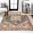thumbnail image 1 of JONATHAN Y WASHABLE 8 x 10 Area Rug, Chapell Chenille Medallion - Black/Terra, WSH203A-8, 1 of 8