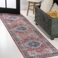 thumbnail image 1 of JONATHAN Y WASHABLE 2 x 8 Runner Rug, Alacati Ogee Medallion - Red/Blue/Brown, WSH103D-28, 1 of 9