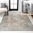 thumbnail image 1 of JONATHAN Y WASHABLE 5 x 8 Area Rug, Armae Distressed Medallion Chenille - Terra/Blue, WSH200A-5, 1 of 9