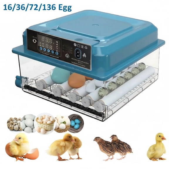 JOVELL 16 Egg Incubator with Automatic Turner, Clear Incubator with Candler & Digital Temperature Control, Poultry Brooder for Hatching Chicken, Duck & Quail Eggs
