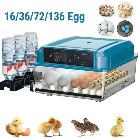 JOVELL 36 Egg Incubator with Automatic Turner, Clear Incubator with Candler & Digital Temperature Control, Poultry Brooder for Hatching Chicken, Duck & Quail Eggs