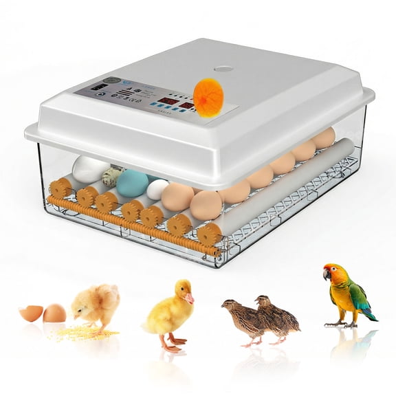 JOVELL 36 Egg Incubator for Hatching Chickens, Automatic Egg Turner with Digital Humidity & Temperature Control, Clear Candler for Poultry, Duck, Goose Eggs