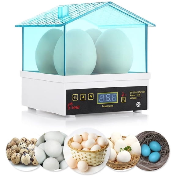 JOVELL 4 Egg Incubator, 360 View Mini Egg Hatcher with Digital Temperature Control, for Hatching Chickens Quail Ducks Goose Pigeon