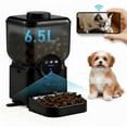 thumbnail image 1 of JOVELL 6.5L Automatic Cat Feeder with 1080P HD Camera, 2.4GHz WiFi Smart Pet Feeder, App Control & Two-Way Audio Dog Food Dispenser, Black, 1 of 9