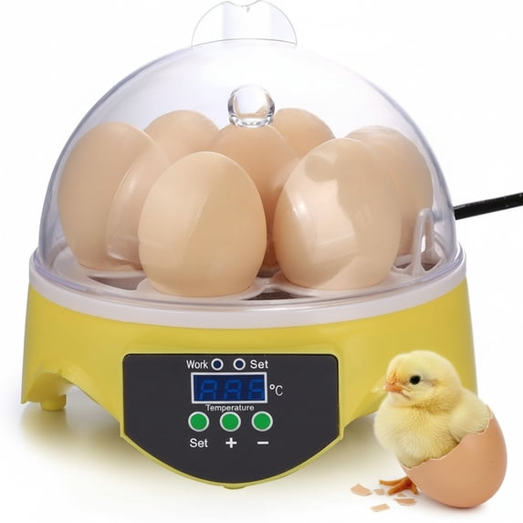JOVELL 7 Egg Mini Egg Incubator for Home Classroom, Humidity & Temperature Control Egg Hatcher, Small Incubator for Hatching Eggs