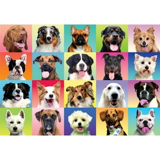 https://i5.walmartimages.com/seo/JOYIN-300-Pcs-Puzzle-for-Kids-Multicolor-Dogs-Puppy-Theme-Puzzles-29-x21_aaebc67c-5dc1-4cee-8522-923f40eeb00a.048580c4210f2b0d28764015c8379ddf.jpeg?odnHeight=320&odnWidth=320&odnBg=FFFFFF