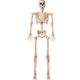 thumbnail image 1 of JOYIN 5.6ft Life Size Skeleton Full Body Realistic Human Bones with Posable Joints for Halloween Pose Skeleton Prop Decoration,Indoor and Outdoor Use, 1 of 8
