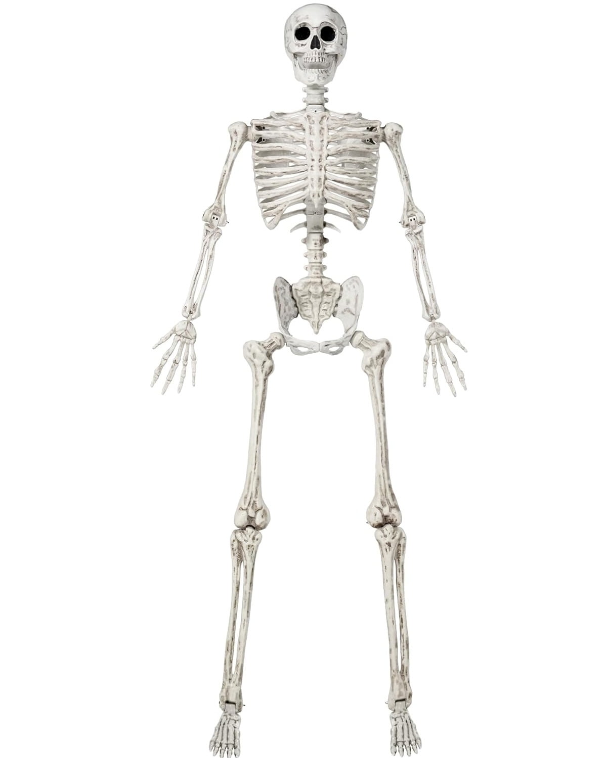 JOYIN 83-Inch Halloween Life-Size Posable Skeleton Bones with