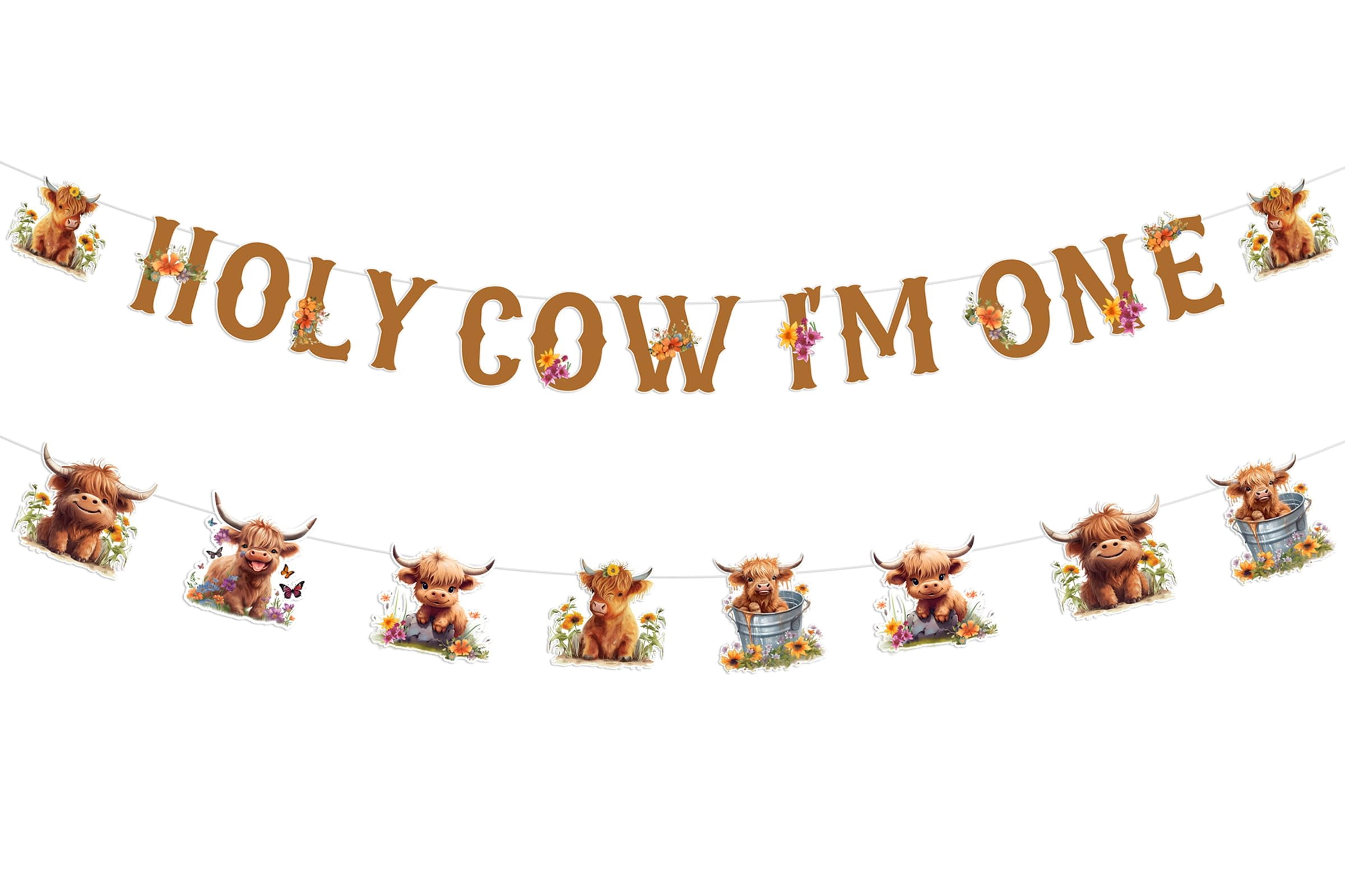 JeVenis Highland Cow First Birthday Decorations - "Holy Cow I'm One" Banner & 12-Month Photo Banner Set