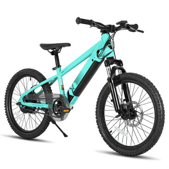 JOYSTAR Electric Bike for Teenagers, Ages 7+ with 250W Brushless Motor, 15 Miles 15MPH Electric Mountain Bicycle with Removable Battery, Multiple Colors