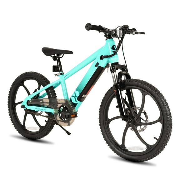 JOYSTAR Electric Bike for Teenagers, Ages 7+ with 250W Brushless Motor, 15 Miles 15MPH Electric Mountain Bicycle with Removable Battery, Multiple Colors