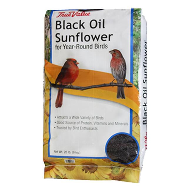 JRK Seed & Turf Supply B200020 20 lbs. Black Oil Sunflower Bird Food