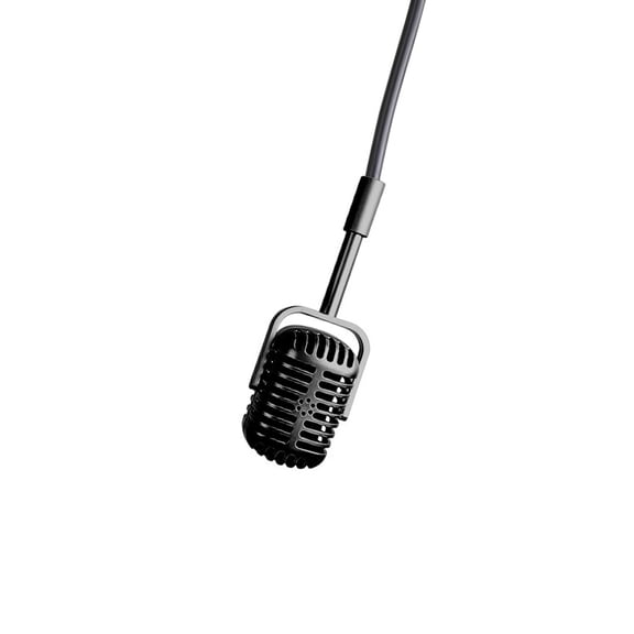JROCHE Retro Design Metal Mic Photography Studio Equipment Home Decor Stage Performances Accessories 2 Color Option