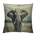 thumbnail image 1 of JRXY  African Elephant Throw Pillow Case Nature Wildlife African Elephant Pillow Cushion Covers Home Sofa Decorative White, 1 of 5