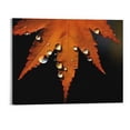 thumbnail image 1 of JRXY BIWSHA Fall Decor Maple Leaf Canvas Wall Art Prints for Home, Autumn Themed Paintings 20x16 Inches 20x16in, 1 of 3