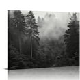 thumbnail image 1 of JRXY Black and White Misty Foggy Mountain Landscape Canvas Wall Art - Breathtaking Scene of Fir Forest in Hipster Style Picture Prints Rustic Decor for Home Office 20x16 Inches  Picture 2, 1 of 4