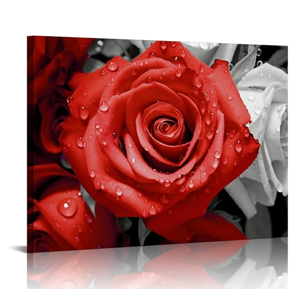 JRXY Black White And Red Rose Canvas Wall Art, Abstract Rose Flowers Picture Artworks Painting Print Posters Modern Home Decorations For Living Room Bedroom Bathroom Kitchen 20x16in