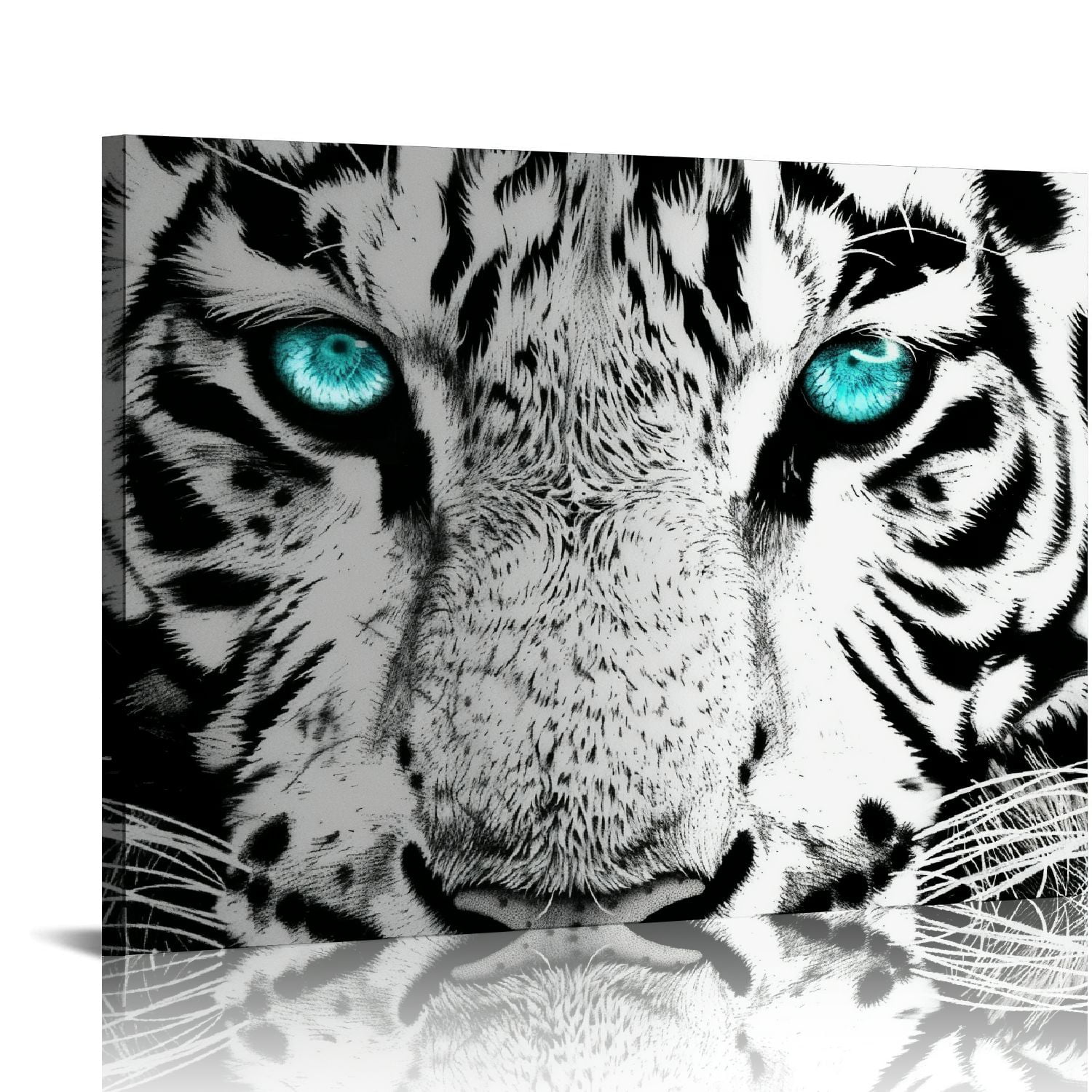 JRXY Black and White Tiger with Teal Blue Eyes Picture Wildlife