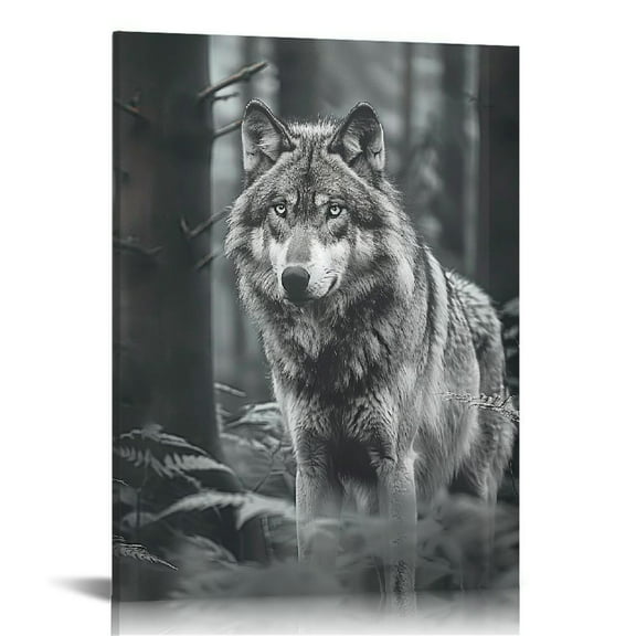 JRXY  Black Wolf Decor - Wolf Poster Prints, Wolf Wall Decor Art, White Wolf Pictures for Home, Wolf Decorations for Bedroom, Grey Wolves Photo Wildlife Animal Posters for  Room  16x20 in