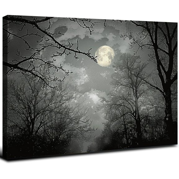 JRXY Black and White Full Moon Nature Forest Landscape Wall Art Print Framed - Ready to Hang - Home Office Wall Decor - 12x16/16x20 Inches 20x16inch