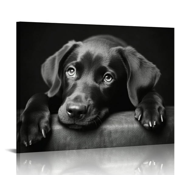 JRXY Black labrador Dog Poster Cute Posters Animal Poster Wall Art Paintings Canvas Wall Decor Home Decor Living Room Decor Aesthetic Prints  20x16in