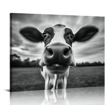 JRXY Canvas Print Wall Art Black and White Freedom Highland Cow Pictures Funny Animal Painting Stretched and Framed Artwork for Home Office Decor 24x36inch 20x16in