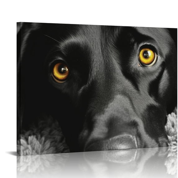 JRXY Canvas Print Wall Art Paintings Black Lab Labrador Retriever Wall Decor Pictures for Living Room Bedroom Home Office Decor Framed 16x12in