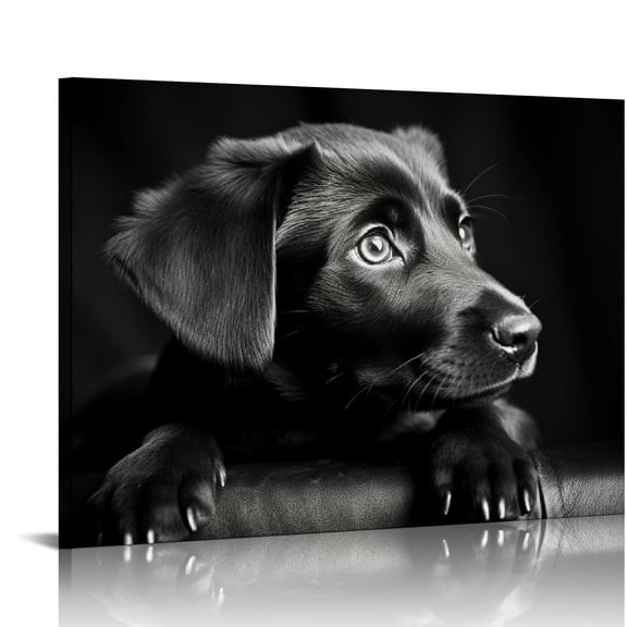 JRXY Canvas Wall Art Black Labrador Dog Pictures Animal Poster Print - For Living Room Bedroom Modern Wall Art Decor Painting  20x16in