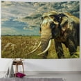 thumbnail image 1 of JRXY Elephant Tapestry Elderly Asian Elephant Walking Alone On Grass During A Cloudy Summer Day Home Decoration For Bedroom Living Room Dorm Decor For Women Men  Painting, 1 of 6