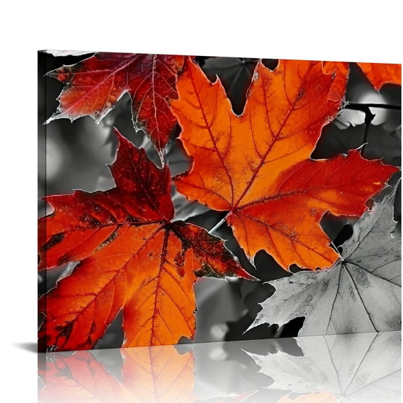 JRXY Fall Decor Orange Maple Leaf Amongst Black and White Autumn Leaves Canvas Wall Art Prints for Living Room Bedroom Home, Autumn Themed Paintings Thanksgiving Gifts 20x16in