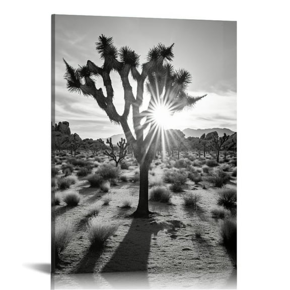 JRXY  Framed Canvas Print Wall Art Black &amp; White California Joshua Tree Desert Nature Wilderness Photography Realism Rustic Landscape Multicolor for Living Room, Bedroom, Office  12x16 in