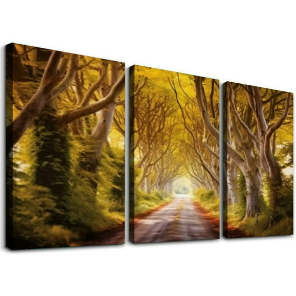 JRXY Framed Canvas Wall Art The Dark Hedges in Northern Ireland at Sunset Photo Print Poster Large Size Stretched & Framed Artwork Home Decor Ready to Hang 12''x16''X3 Panels 12x16x3pcs