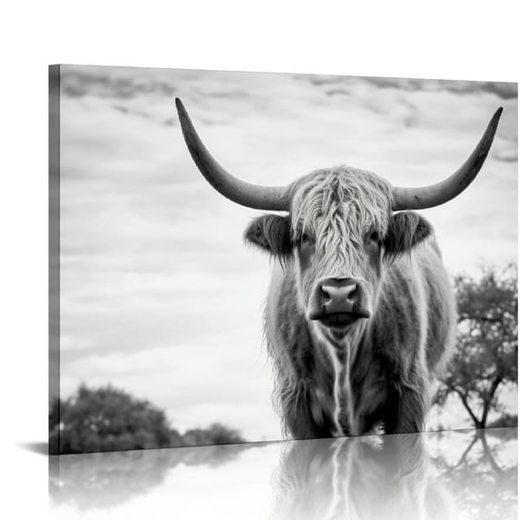 JRXY HOME Black and White Highland Cow Photograph Stretched Canvas Wall Art,Living Room 16x12in