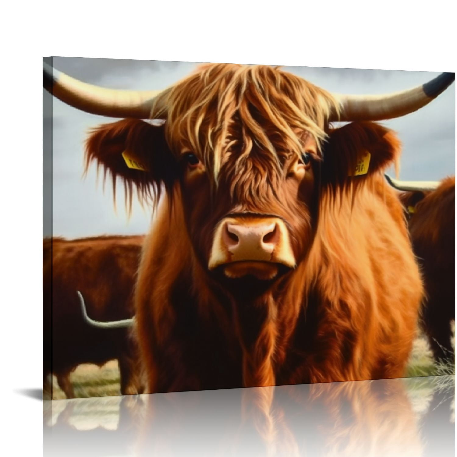 JRXY Highland Cow Wall Art,6Pcs 8x10 inch Canvas Bathroom Wall Art ...