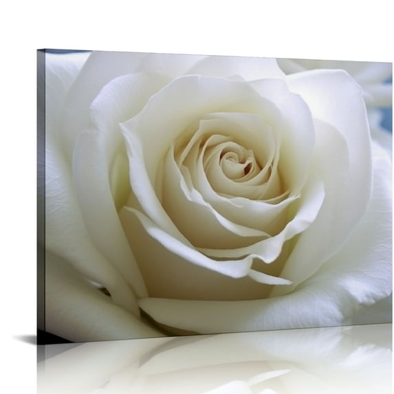 JRXY - Huge Roses in Pure White Wall Art Painting Pictures Print On Canvas Flower The Picture for Home Modern Decoration 16x12in