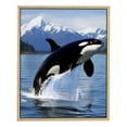 thumbnail image 1 of JRXY Killer Whale Orca Wall Art Decor Poster Canvas Painting Pair Leaping Blue Ocean Theme Living Room Bedroom Office Gift 16x20, 1 of 4