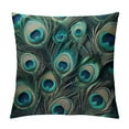 thumbnail image 1 of JRXY  Peacock Features Pillowcase Abstract Elegant Wild Animal Feather Super Soft Cozy Pillow Case Fade, Stain Resistant with Envelope Closure Pillow Cover Colorful King White, 1 of 5