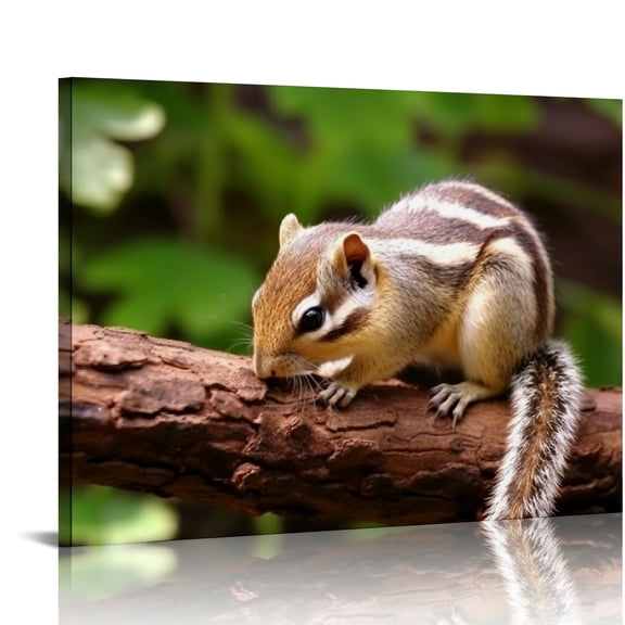 JRXY Poster Affiche Photo Illustration Écureuil Chipmunk Dans La Forêt Vie Sauvage Canvas Prints Poster Wall Art For Home Office Cinema Decorations 16x12in