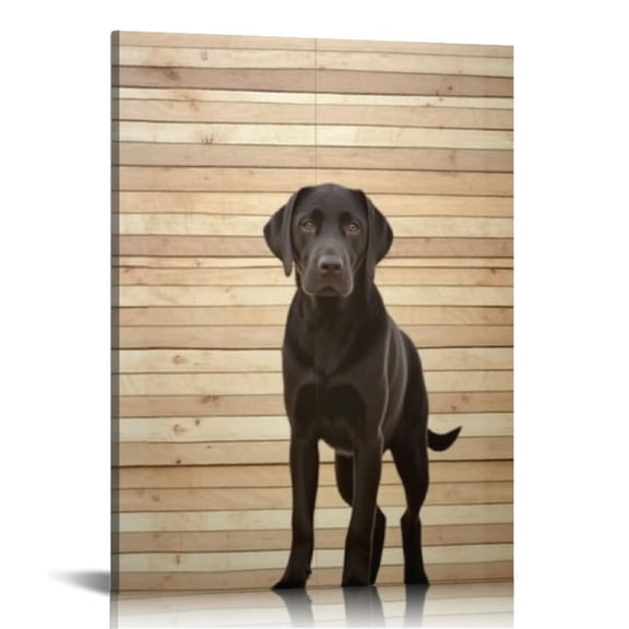 JRXY Puppies Labrador Retriever Puppy on White Background Pictures Print On Canvas Wall Artwork Modern Photography Home Decor Unique Pattern Stretched and Framed 16x20 in